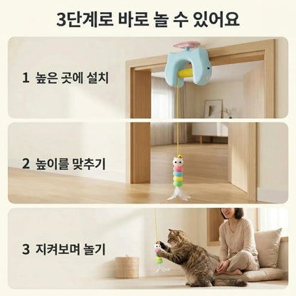 LACIAGA 피용피용 토이