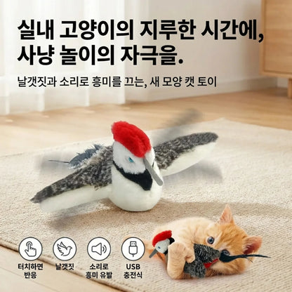 LACIAGA 바타바타 버드