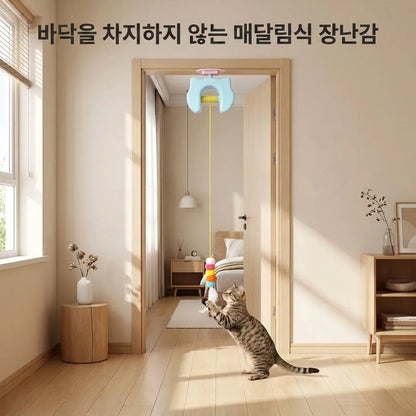 LACIAGA 피용피용 토이