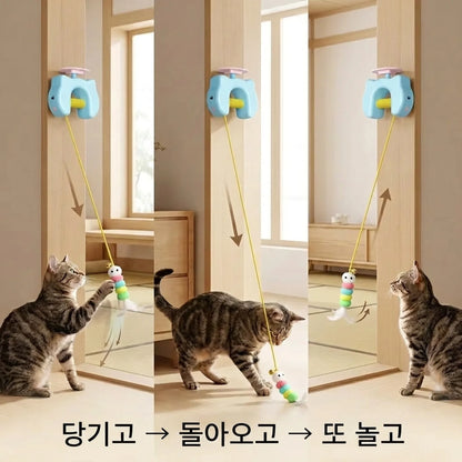 LACIAGA 피용피용 토이