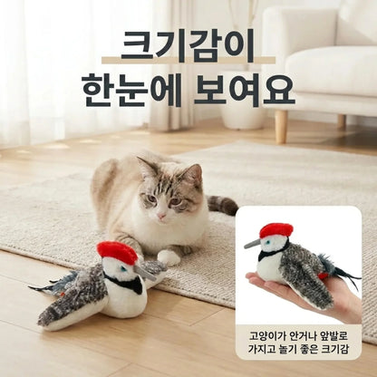 LACIAGA 바타바타 버드