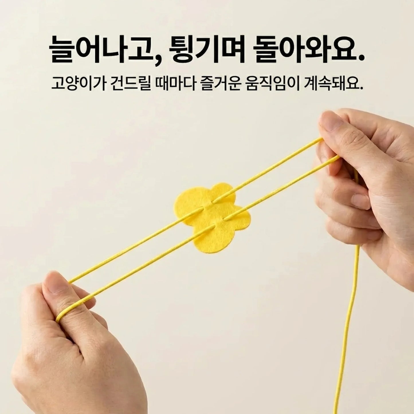 LACIAGA 피용피용 토이