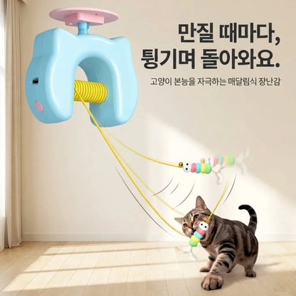 LACIAGA 피용피용 토이