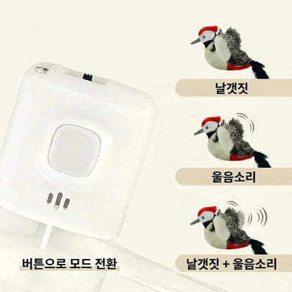 LACIAGA 바타바타 버드